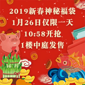 2019新春神秘福袋
